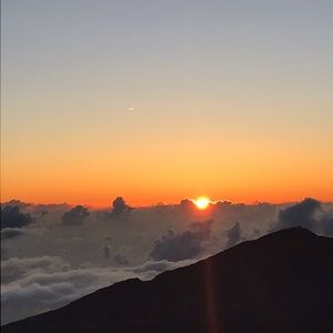 Meet your Posher, Ariane